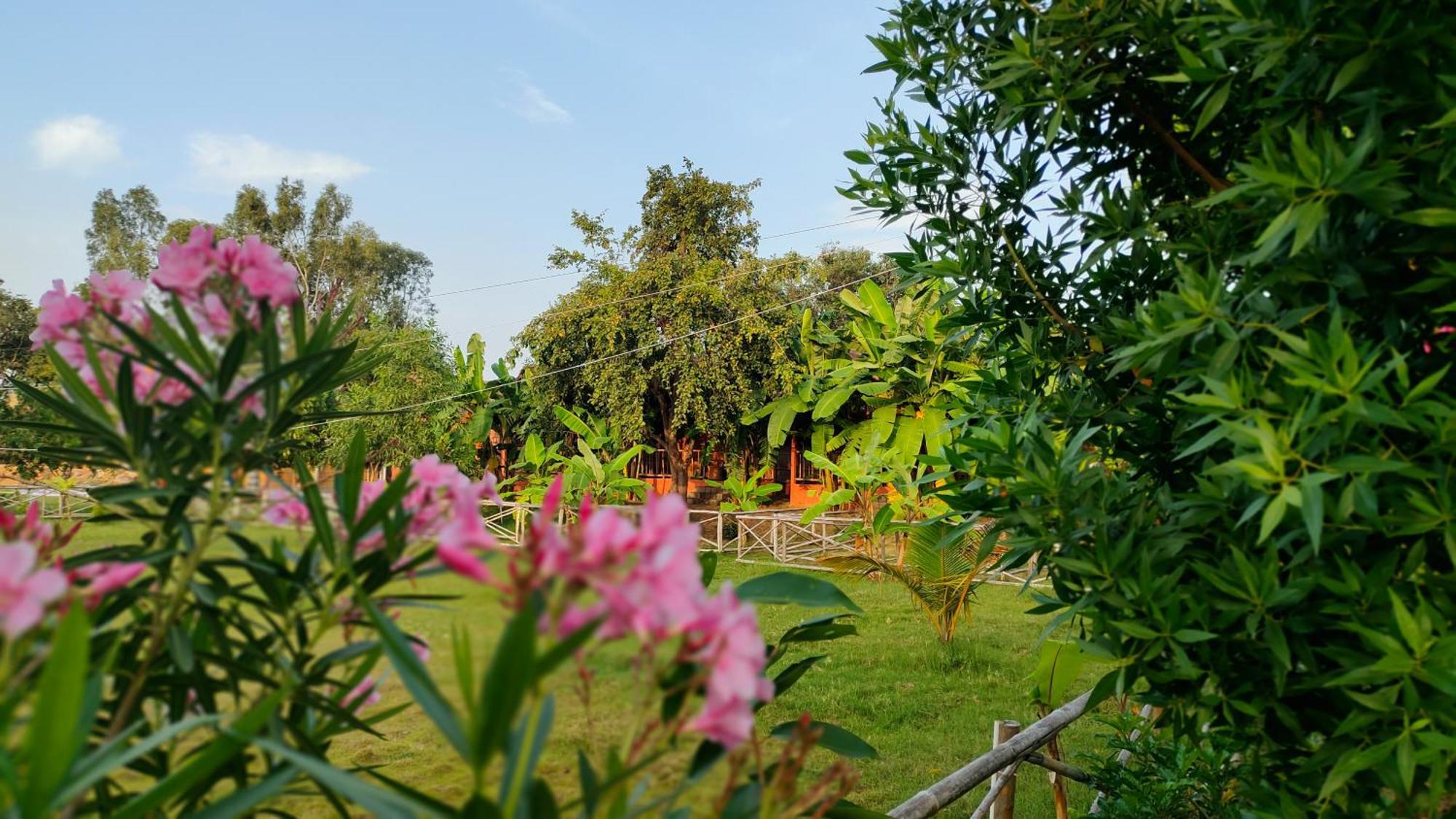 Waterfall Guesthouse Hampi Esterno foto