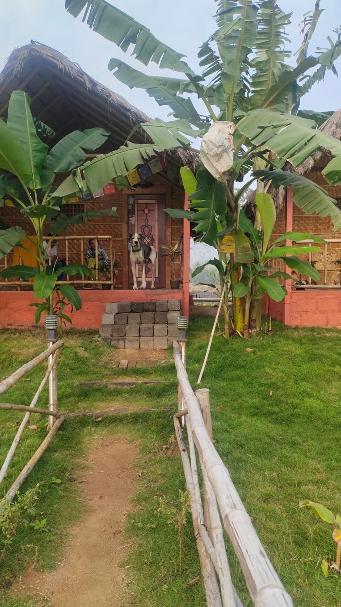 Waterfall Guesthouse Hampi Esterno foto